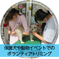ボランティアトリミング