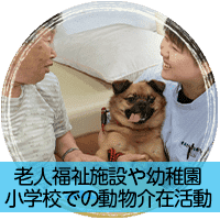 動物介在活動