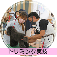 トリミング実技