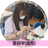 美容学（造形）