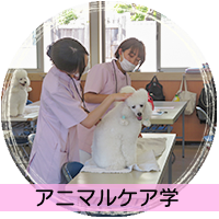 アニマルケア学