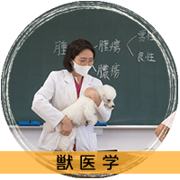 獣医学