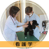 看護学