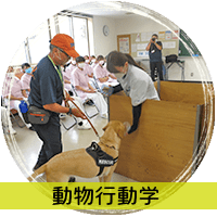 動物行動学