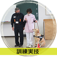 訓練実技