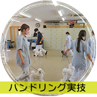 ハンドリング実技