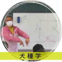 犬種学