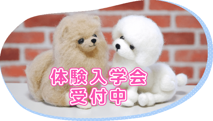 体験入学会受付中
